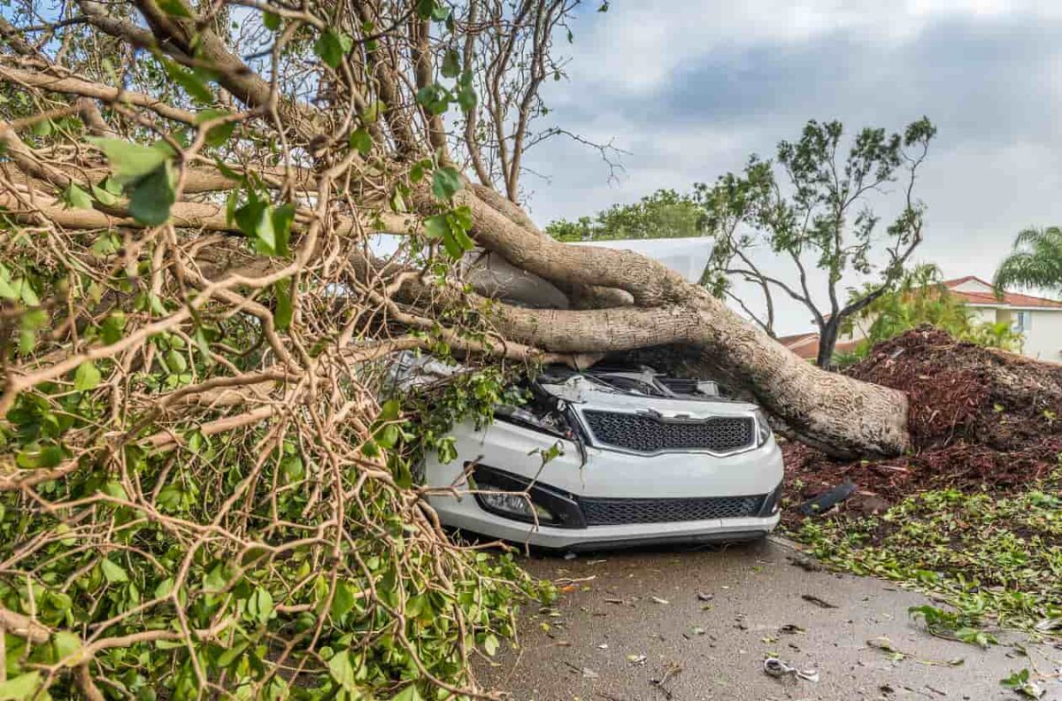 Protect Vehicles From Hurricanes With Prep and Insurance